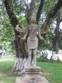 Siem Reap Cambodia - Downtown